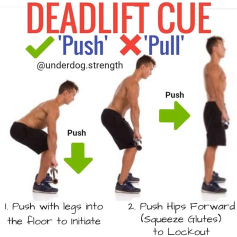 How to Deadlift Properly (For Beginners) - Underdog Strength Training | Gym workout tips ...