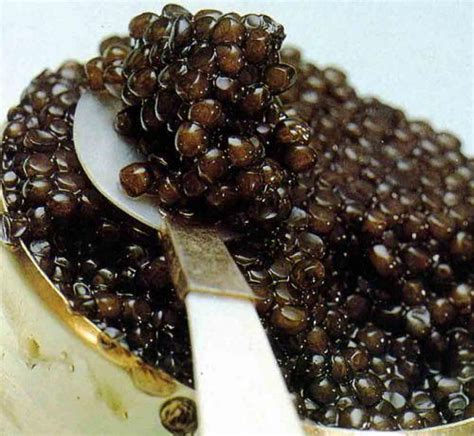 Caviar | Food, Caviar, Beluga caviar