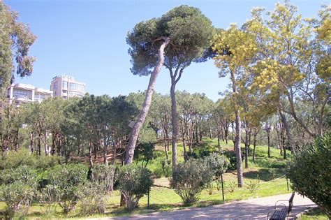 Blue Green Atlas - The Climate of Lebanon