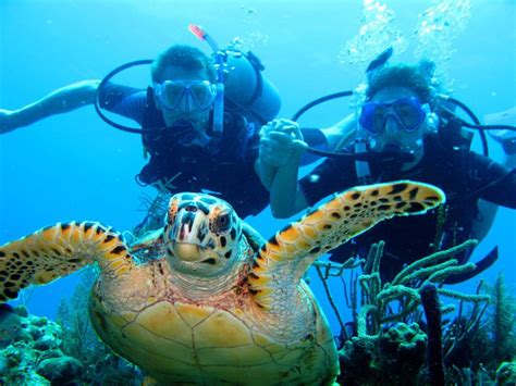 Prestigiosa revista Scuba Diving destaca a Roatán por su mágico atractivo al buceo – DIARIO ROATÁN