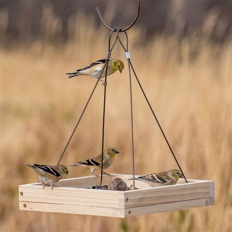 Build a DIY wooden bird feeder with The Home Depot. This guide will ...