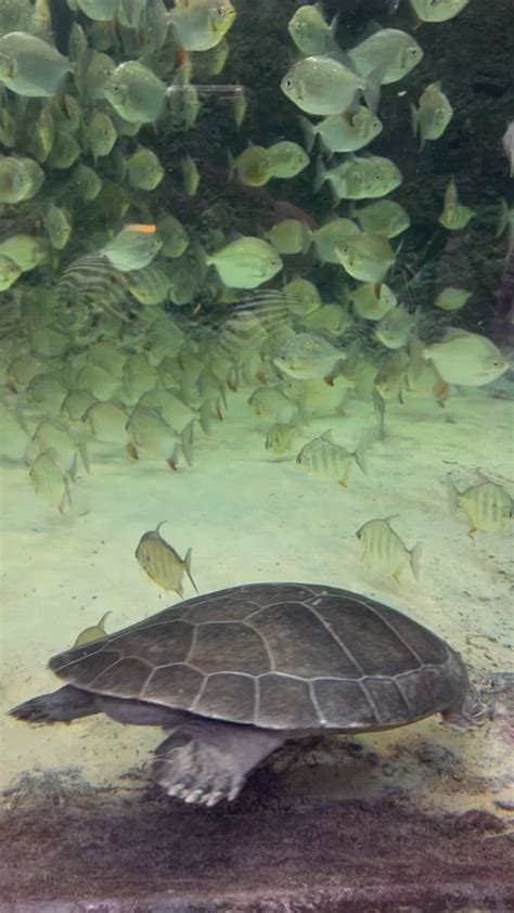 Biodome in Montreal