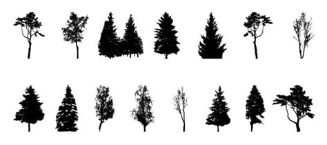 Tree Silhouette Vector Art, Icons, and Graphics for Free Download