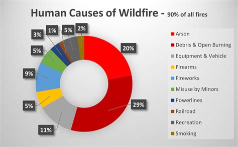 Over the Garden Fence - The Partnership Between Humans and Nature During Fire Recovery: Part 5