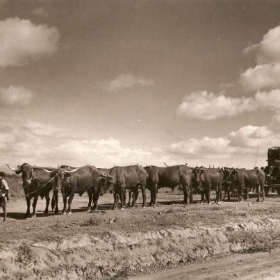 Transport | 1 South Africa / Suid Afrika | eGGSA Post Card Collection / Poskaartversameling ...