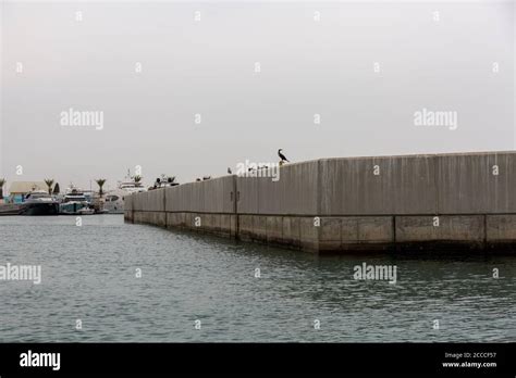 Al Mouj Marina, Muscat Oman Stock Photo - Alamy