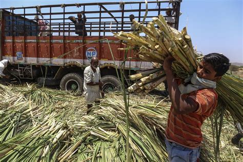 Brazil Sugar Mills at Risk by Record Crop 9,000 Miles Away - Bloomberg