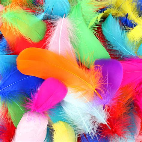 Colorful Feathers Background