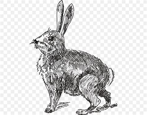 Hare White Rabbit The Velveteen Rabbit Clip Art, PNG, 490x640px, Hare, Animal Figure, Art, Black ...