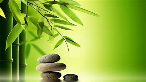 Wallpaper Download 1920x1080 Bamboo tree and special rocks for massage… | Zen wallpaper, Zen ...