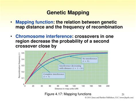 PPT - Chapter 4 Gene Linkage and Genetic Mapping PowerPoint Presentation - ID:3993682