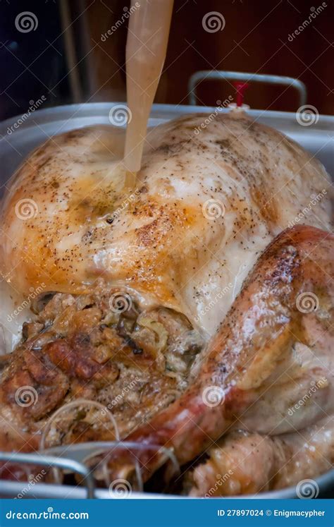 Basting a Thanksgiving Day Turkey Stock Photo - Image of tender, bake ...