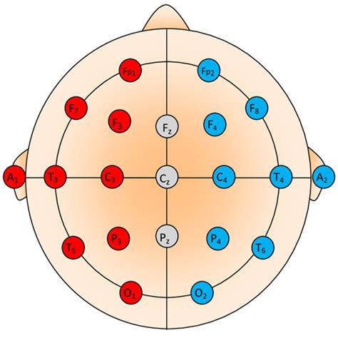 An Introduction to EEG