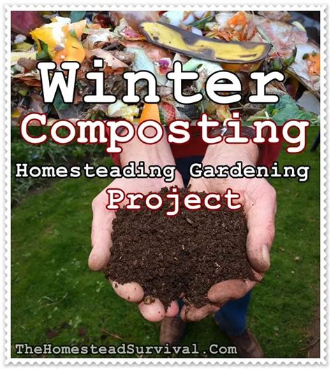 Winter Composting Homesteading Gardening Project - The Homestead Survival