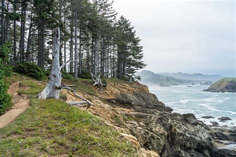 The 17 Best Hikes on the Oregon Coast: Complete Oregon Coast Hiking Guide