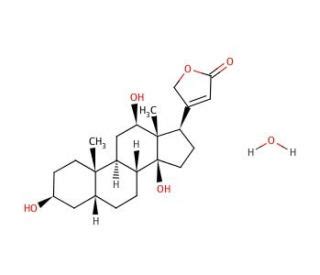 Digoxigenin | CAS 1672-46-4 | SCBT - Santa Cruz Biotechnology