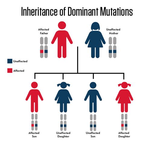 The Best Genetic Mutations Help #1 - homeworksmontana