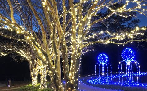 Norfolk Botanical Gardens Lights the Night – The Marlin Chronicle