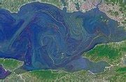 Category:Satellite pictures of the Sea of Marmara - Wikimedia Commons