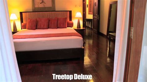 SUNSET AT THE PALMS BookIt.com Guest Reviews Treetop Deluxe - All-Inclusive.mov - YouTube