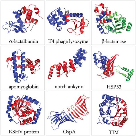 A thermodynamic definition of protein domains | PNAS