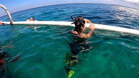 Snorkeling in Sanur ( Bali ) - YouTube