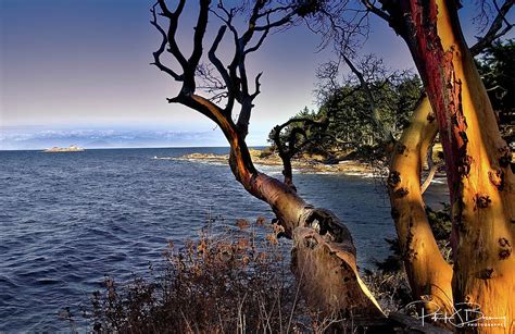 Gabriola Island Photograph by Patrick Boening - Fine Art America