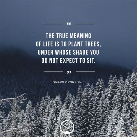 Inspirational Quotes About Trees | One Tree Planted