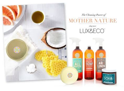 5 Organic Cleaning Products For A Healthy Home | True Luxury Life Luxury Life, Luxury Living ...