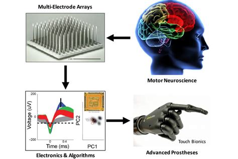 Neural Engineering | Biointerfaces Institute / University of Michigan