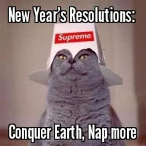 These Cats Are All Ready For 2020 (New Year's Resolutions Memes) | Umorismo capodanno, Foto lol ...