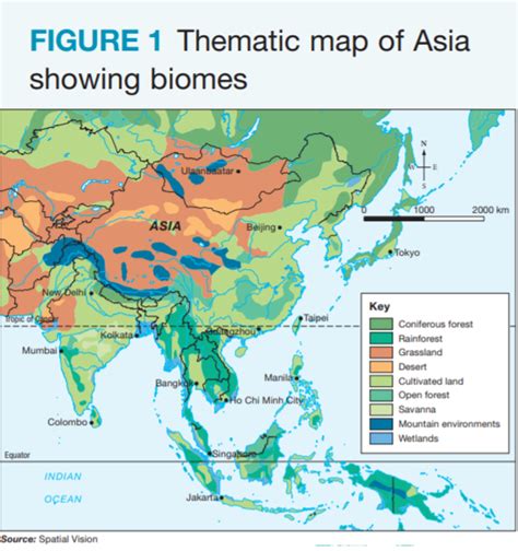 Asia Biomes | Biomes, Asia map, Land ho