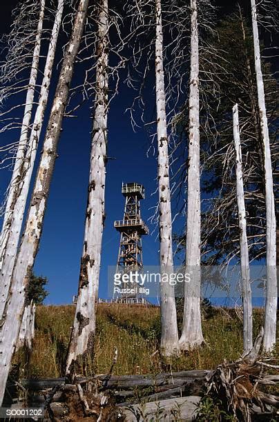 326 Fire Lookout Tower Stock Photos, High-Res Pictures, and Images ...