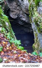 811 Large Cave Opening Images, Stock Photos & Vectors | Shutterstock