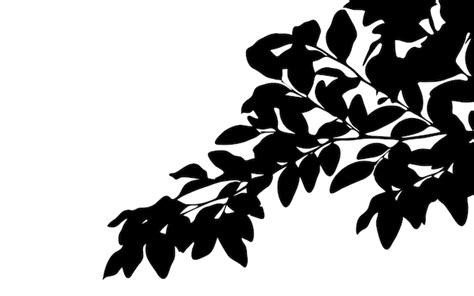 Premium Vector | Tree branch with leaves vector silhouette copy space isolated on white ...