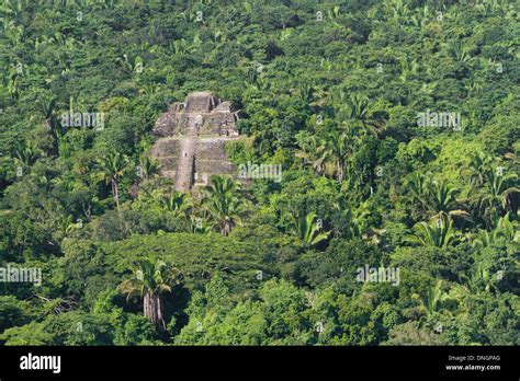 aerial view of Lamanai maya ruins in the tropical jungle of Belize Stock Photo: 64907656 - Alamy