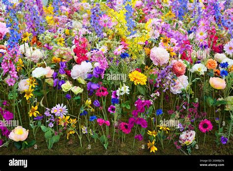 Miss dior millefiori hi-res stock photography and images - Alamy