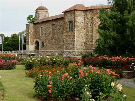 Colchester Castle Museum (Colchester) - Visitor Information & Reviews