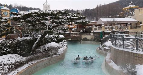 Caribbean Bay Water Park in Gyeonggi-do - Klook