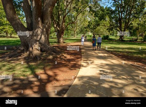 Queens Park Gardens, Toowoomba Stock Photo - Alamy