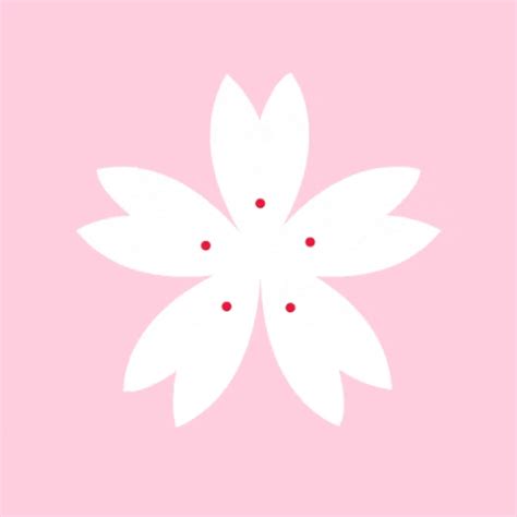 Cherry Blossom Japan GIF by Zusetsu - Find & Share on GIPHY