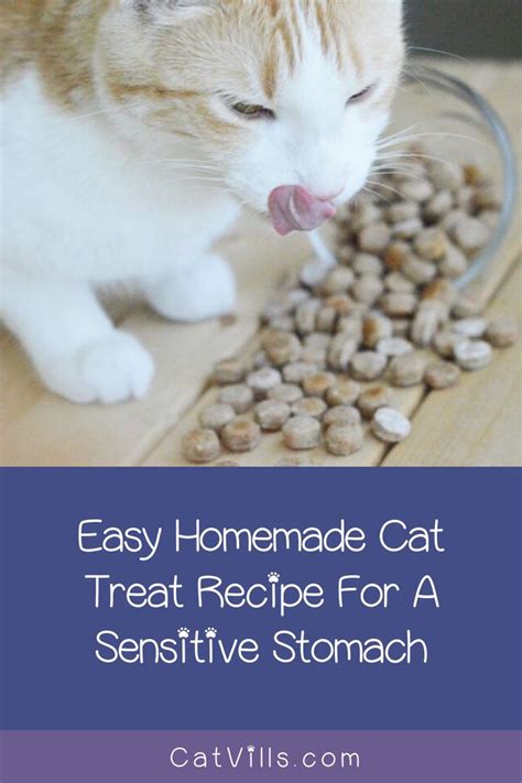 Homemade Tuna Cat Treats: A Tuna Bites Recipe For Your Kitty | Cat ...