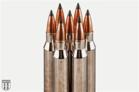 Top 10 Best Sniper Rifle Cartridges for When You Need to Make the Shot