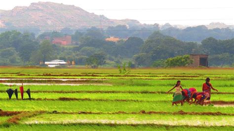 Culture of Jharkhand - The Land of woods