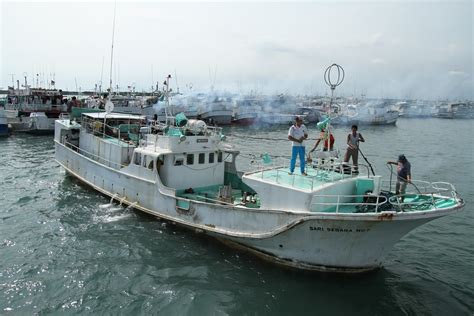 INDONESIA SPEARFISHING ADVENTURE: 60% BigeyeTuna in Japan is from Indonesia