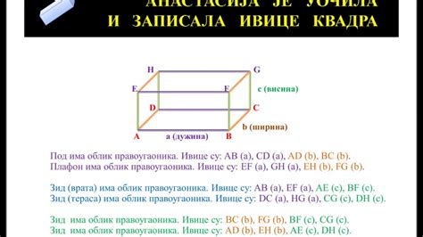 KVADAR - O KVADRU SA ANASTASIJOM I MARKOM - YouTube