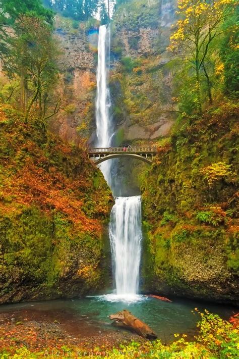 Multnomah Falls, Columbia River Gorge, Oregon, USA | Columbia river gorge oregon, Multnomah ...