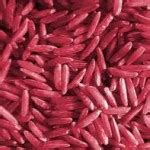 levure de riz rouge et cholestérol | Les Conseils de Phytothérapie du Dr Neal