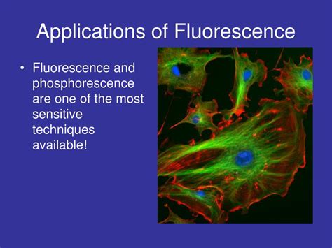 PPT - Fluorescence Spectroscopy PowerPoint Presentation, free download ...