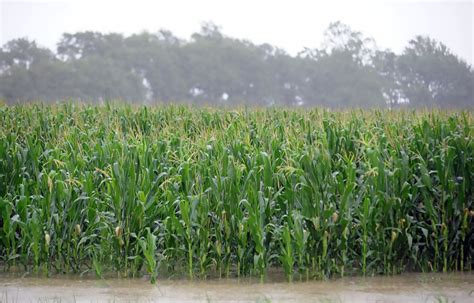 Historic rainfall floods homes across north Mississippi - Mississippi Today